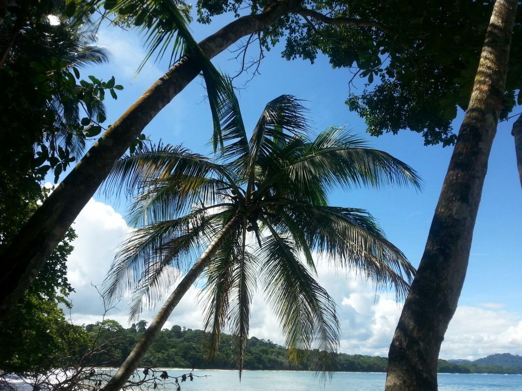 Mar Verde Lodge Puerto Viejo de Talamanca Buitenkant foto