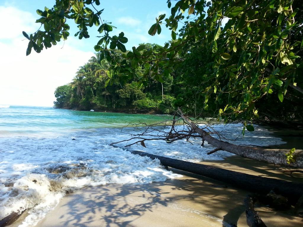 Mar Verde Lodge Puerto Viejo de Talamanca Buitenkant foto