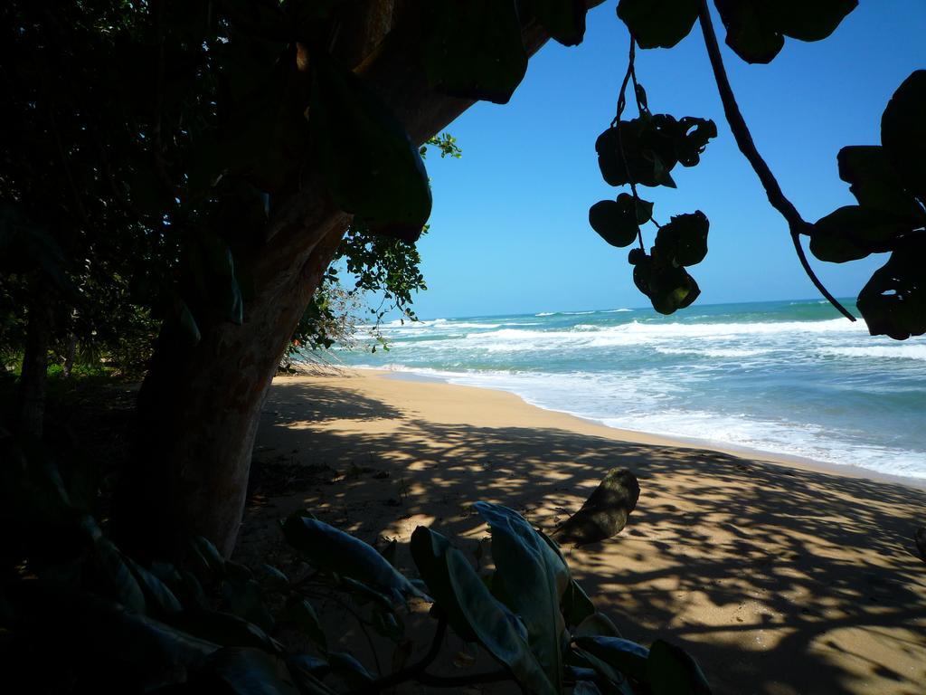 Mar Verde Lodge Puerto Viejo de Talamanca Buitenkant foto