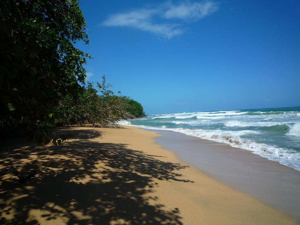 Mar Verde Lodge Puerto Viejo de Talamanca Buitenkant foto
