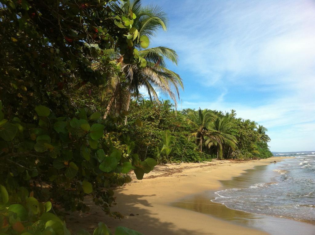 Mar Verde Lodge Puerto Viejo de Talamanca Buitenkant foto