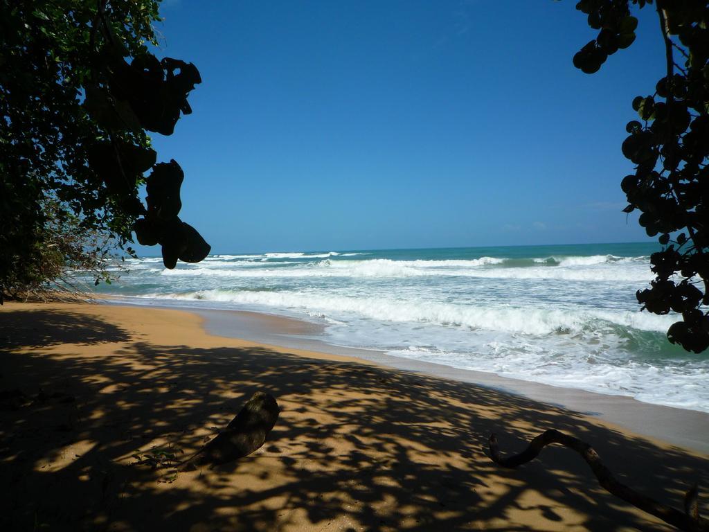 Mar Verde Lodge Puerto Viejo de Talamanca Buitenkant foto