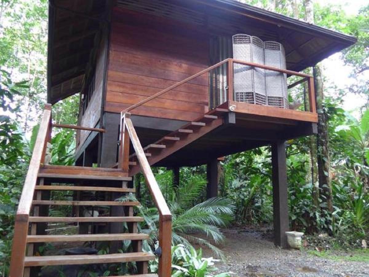 Mar Verde Lodge Puerto Viejo de Talamanca Buitenkant foto