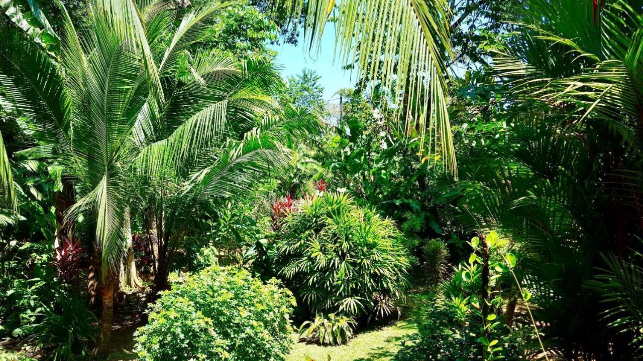 Mar Verde Lodge Puerto Viejo de Talamanca Buitenkant foto